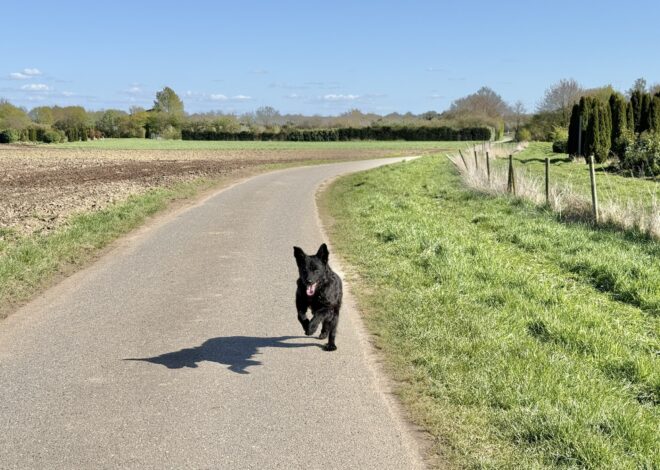 Let‘s get back to the 80s – #14 — Geocache of the Week – Official Blog